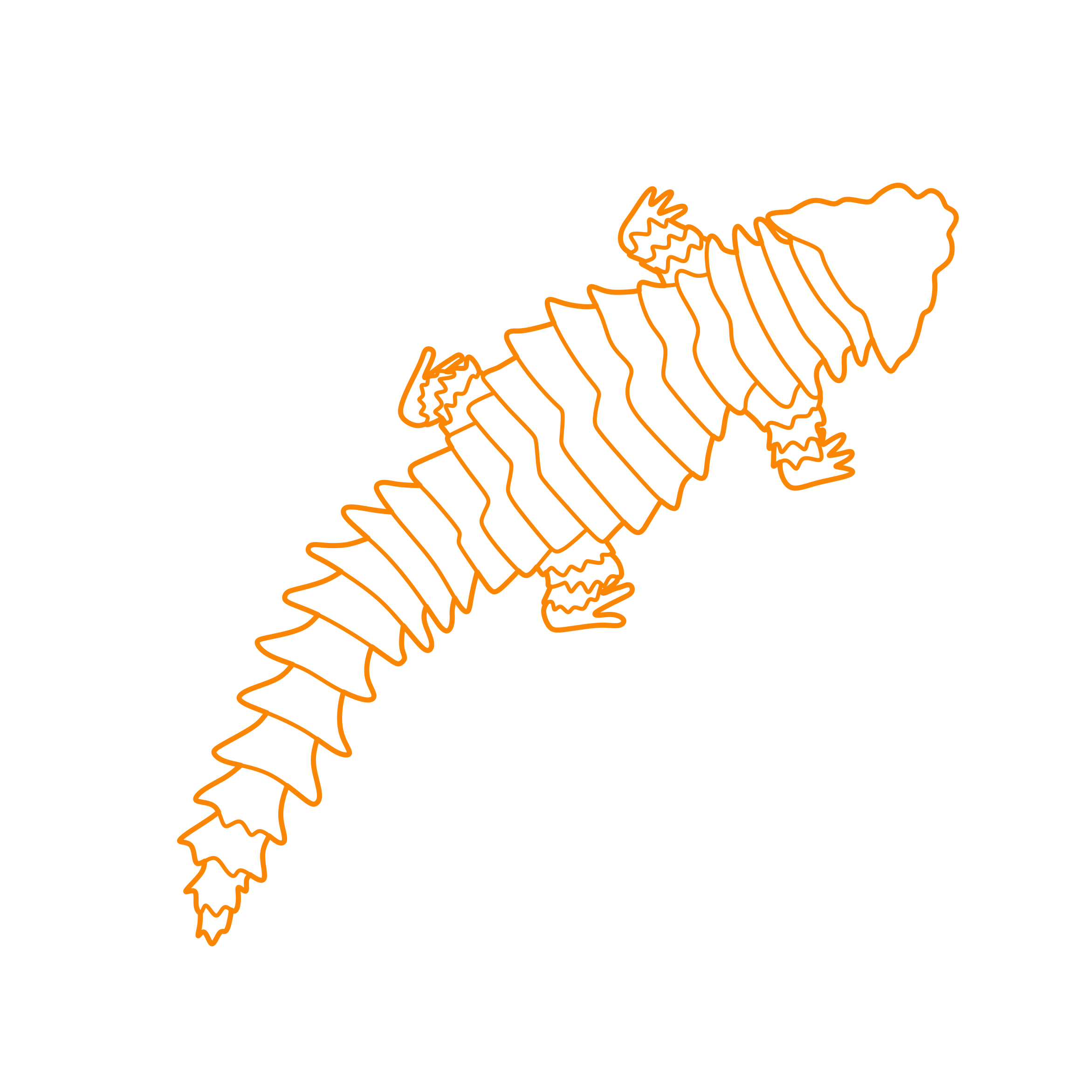 Animals Lizards Armadillo Lizard Outline Svg File Free Vectors